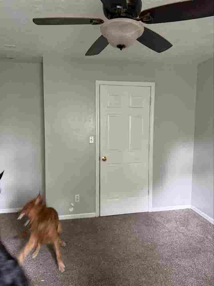 Master bedroom in house.