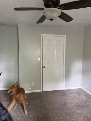Master bedroom in house.