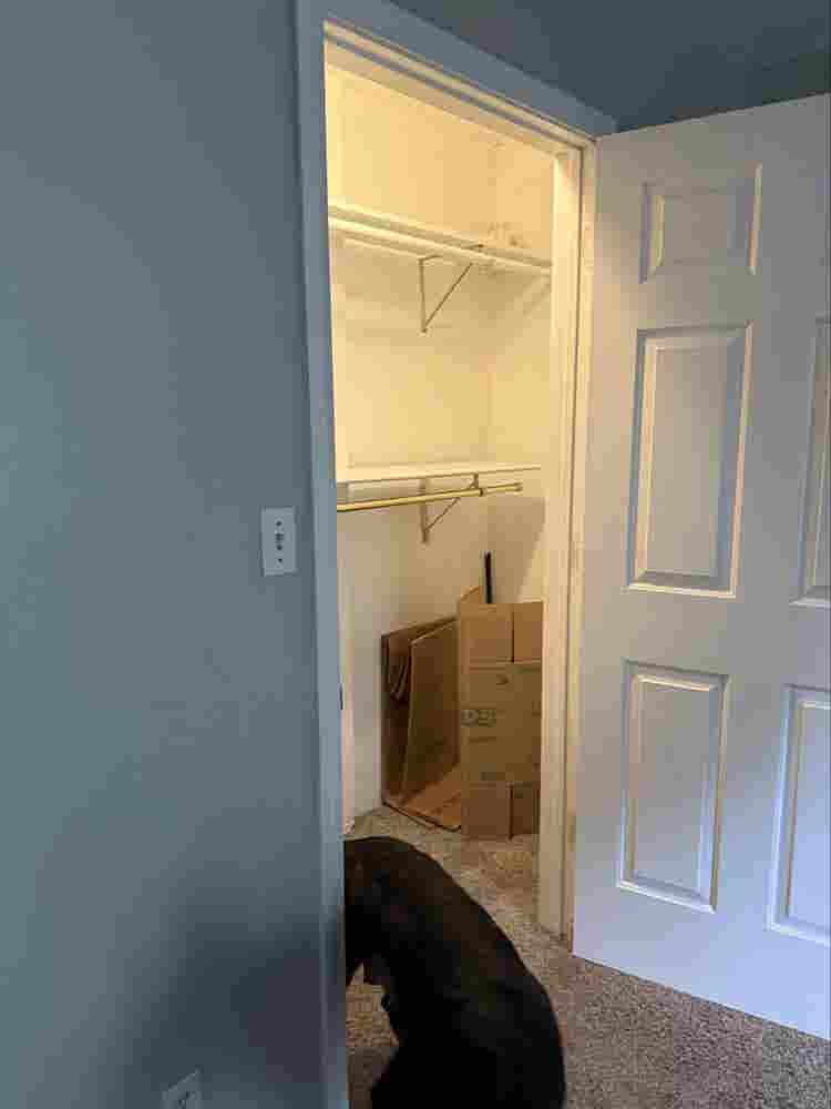 Master bedroom in house.