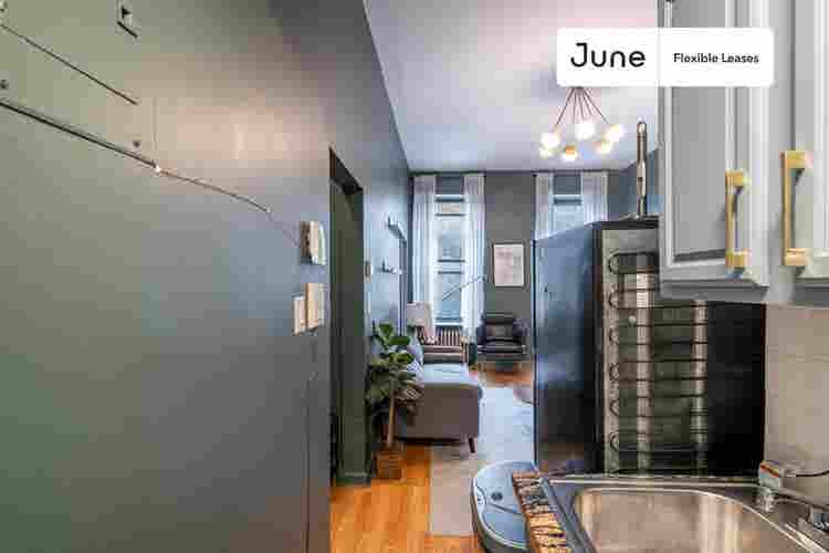 1 BR in New York City