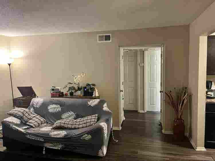 Roommate Needed