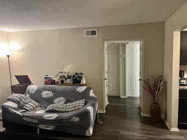 Roommate Needed