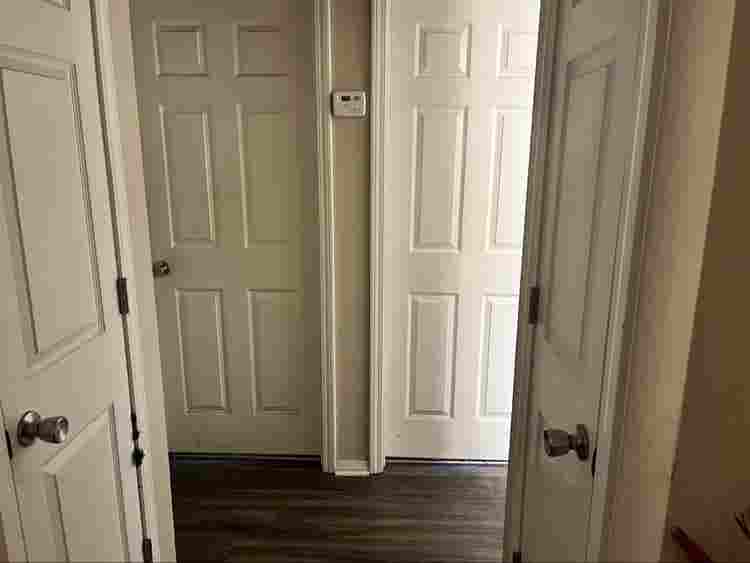 Roommate Needed
