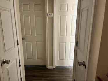 Roommate Needed