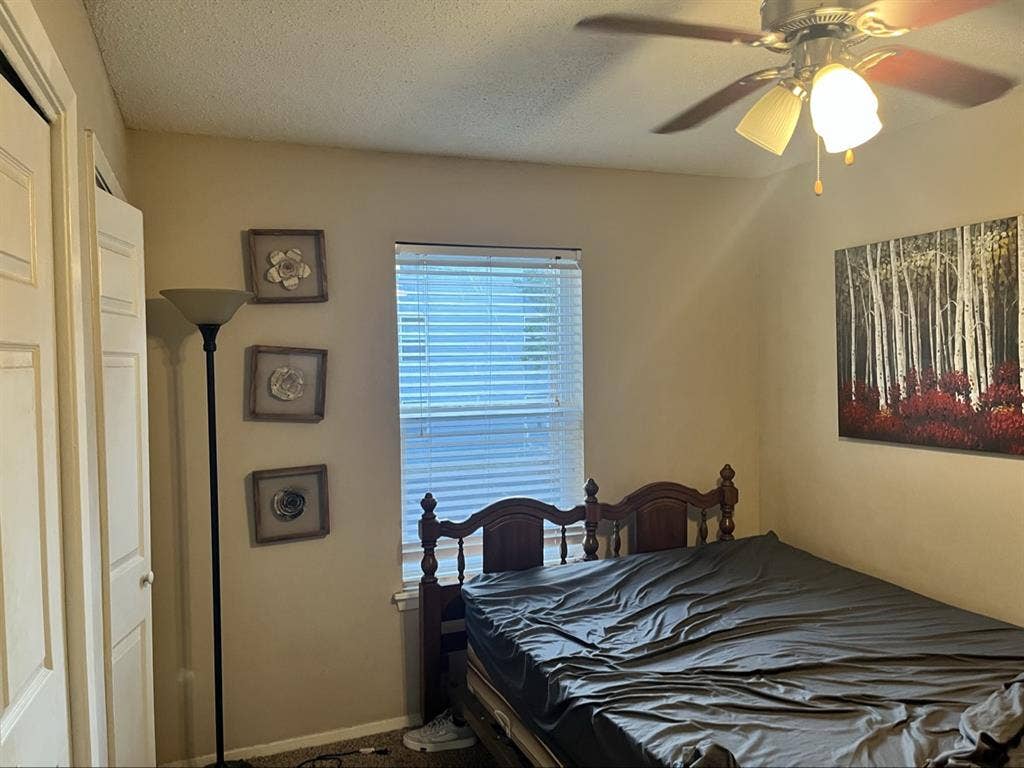 Roommate Needed