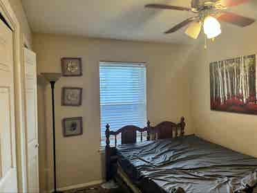 Roommate Needed
