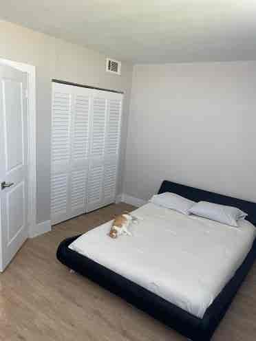 Female Roommate Wanted – High Vibes