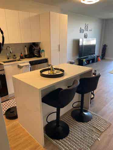 Female Roommate Wanted – High Vibes