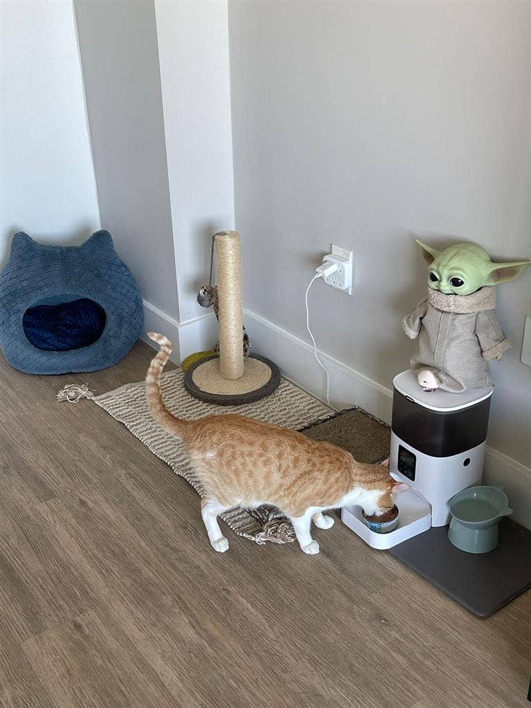 Room for Rent – Female Only