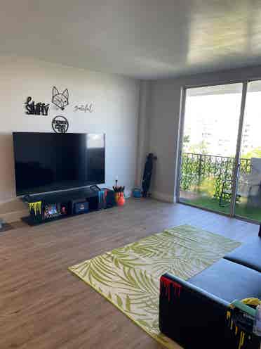Female Roommate Wanted – High Vibes