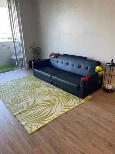 Female Roommate Wanted – High Vibes