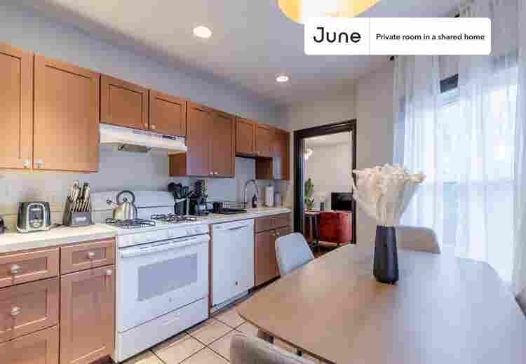 5 BR in Boston