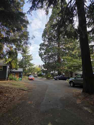 Room for rent NE Portland. $