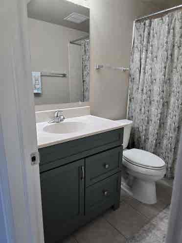 🌟 Room for Rent Near CU Boulder 🌟