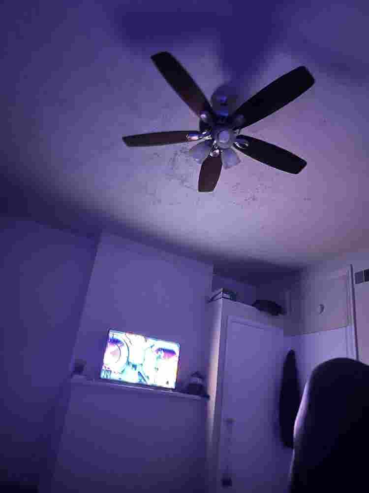 1 Available Large bedroom