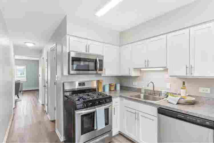 Looking for a roommate