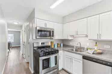Looking for a roommate