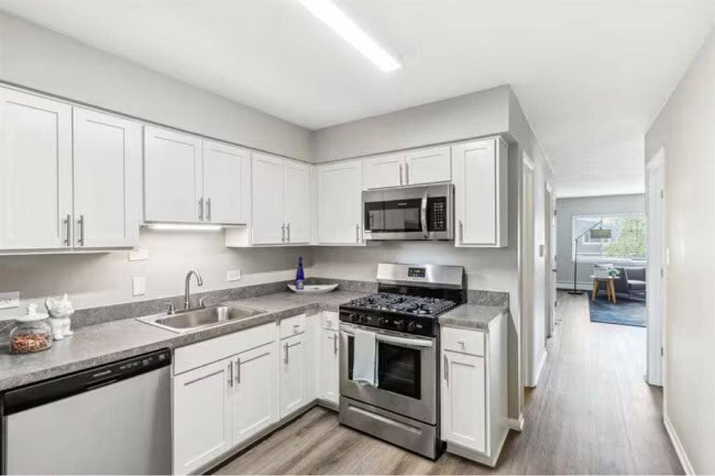 Looking for a roommate