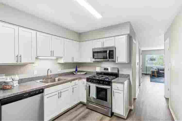 Looking for a roommate