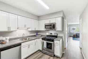 Looking for a roommate