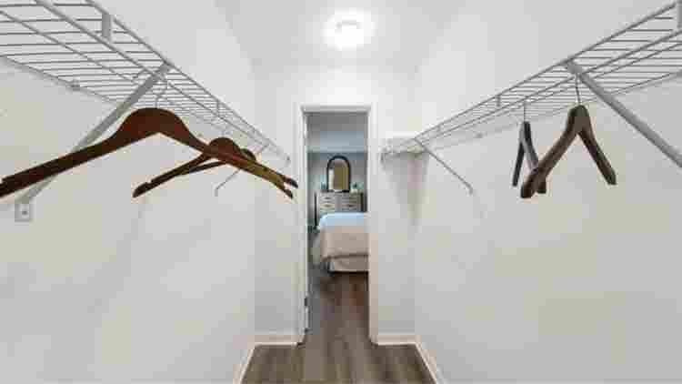 Looking for a roommate