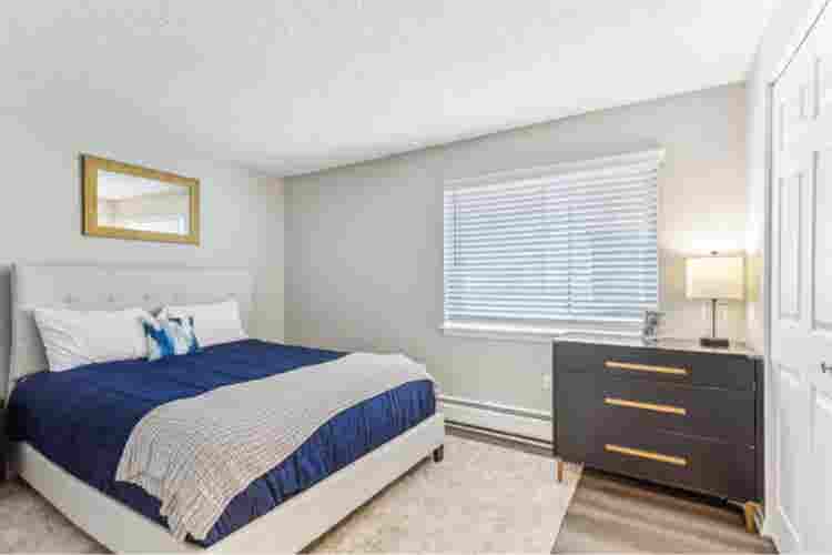 Looking for a roommate