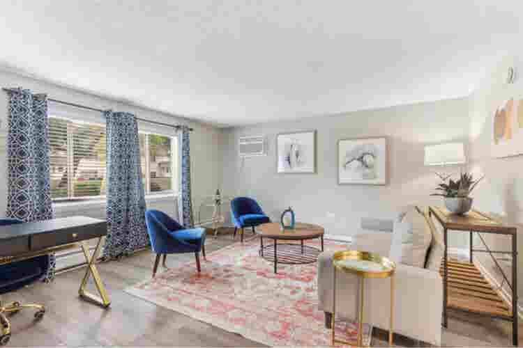 Looking for a roommate