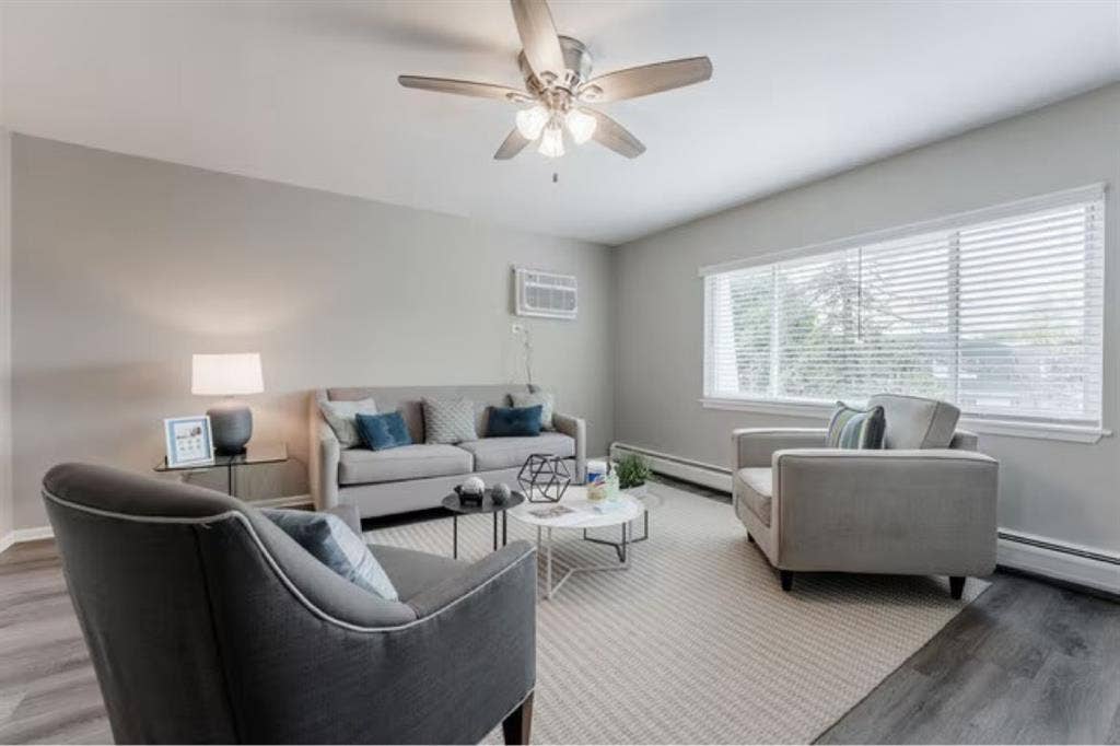 Looking for a roommate