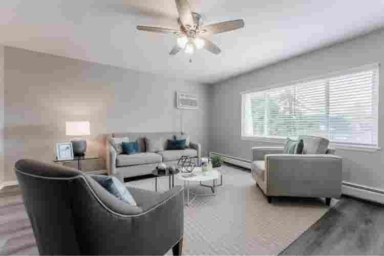 Looking for a roommate