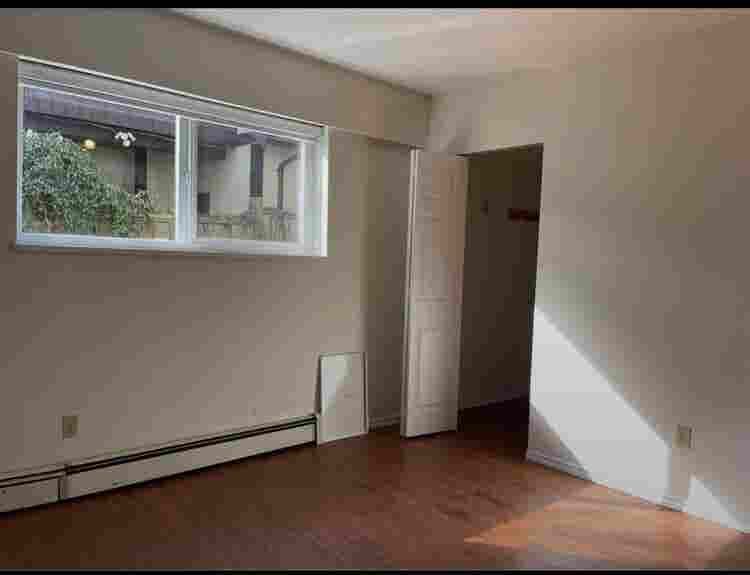 Spacious basement for rent