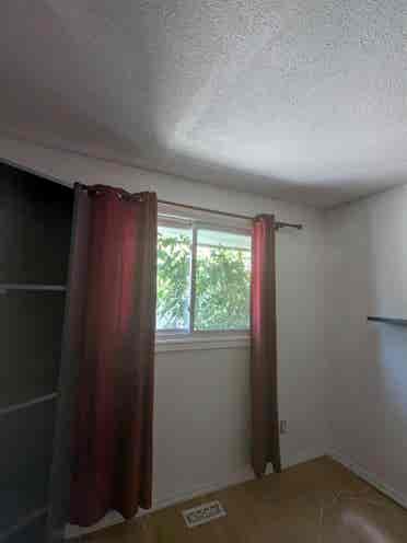 Room for rent