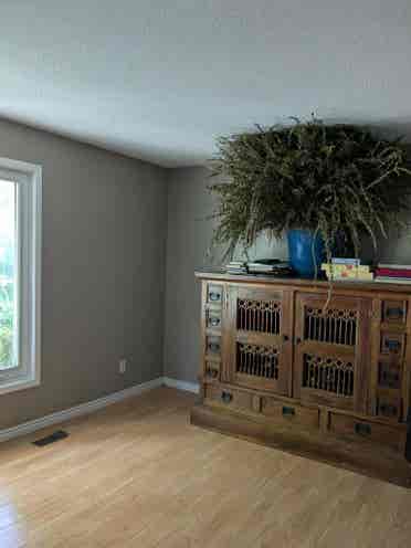 Room for rent