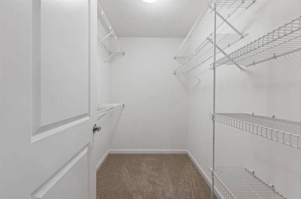 Spacious 2BHK Apartment for Rent