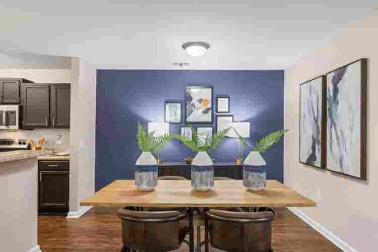 Spacious 2BHK Apartment for Rent