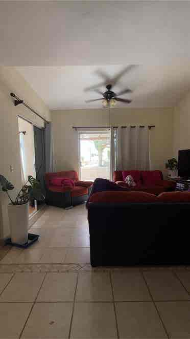 Looking for a girl roommate.