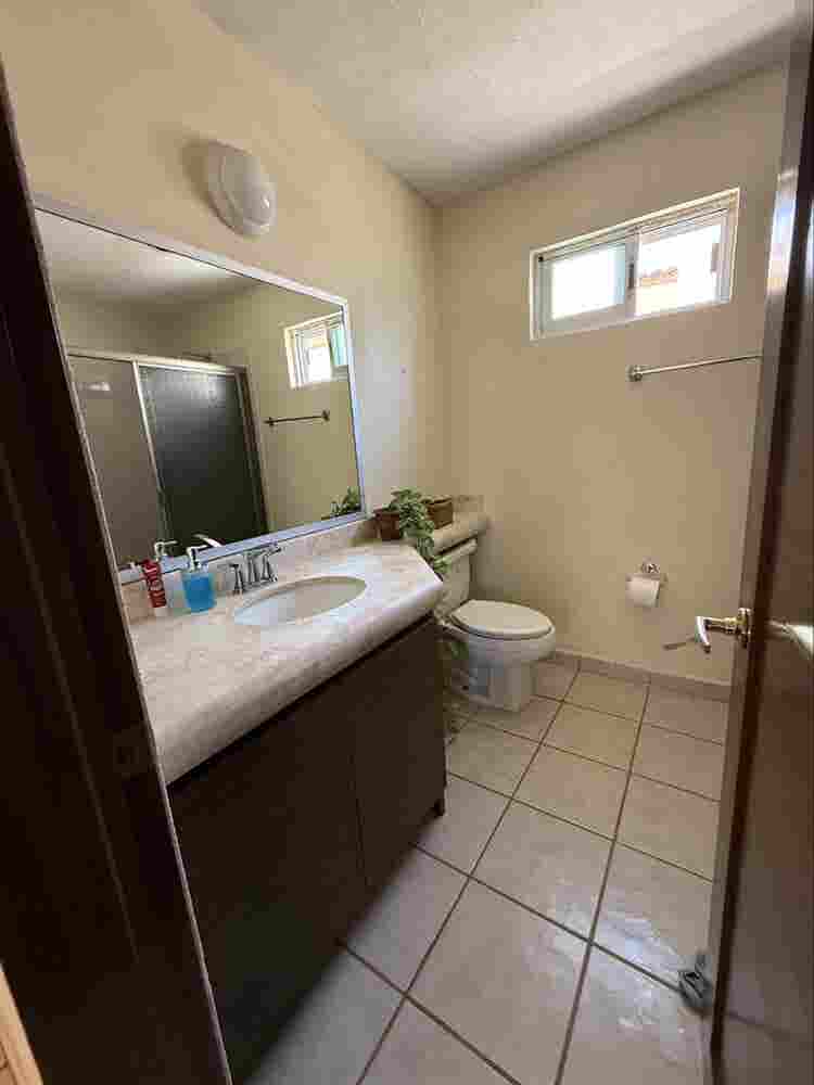 Looking for a girl roommate.