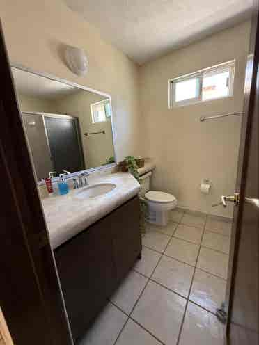 Looking for a girl roommate.