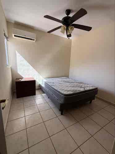 Looking for a girl roommate.