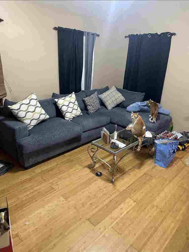 Room for Rent