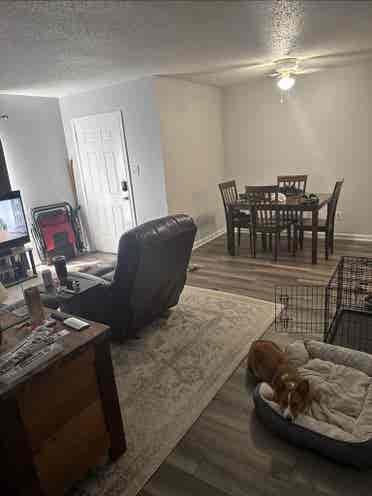Room Available