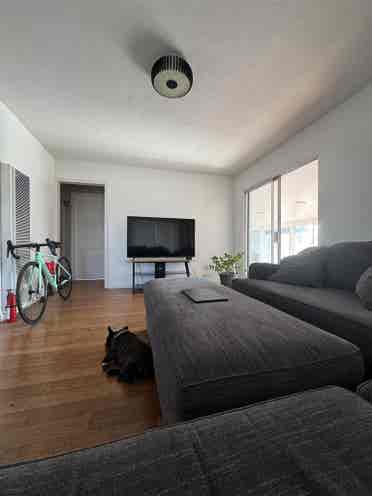Newly Remodeled & Utilities Incl’d