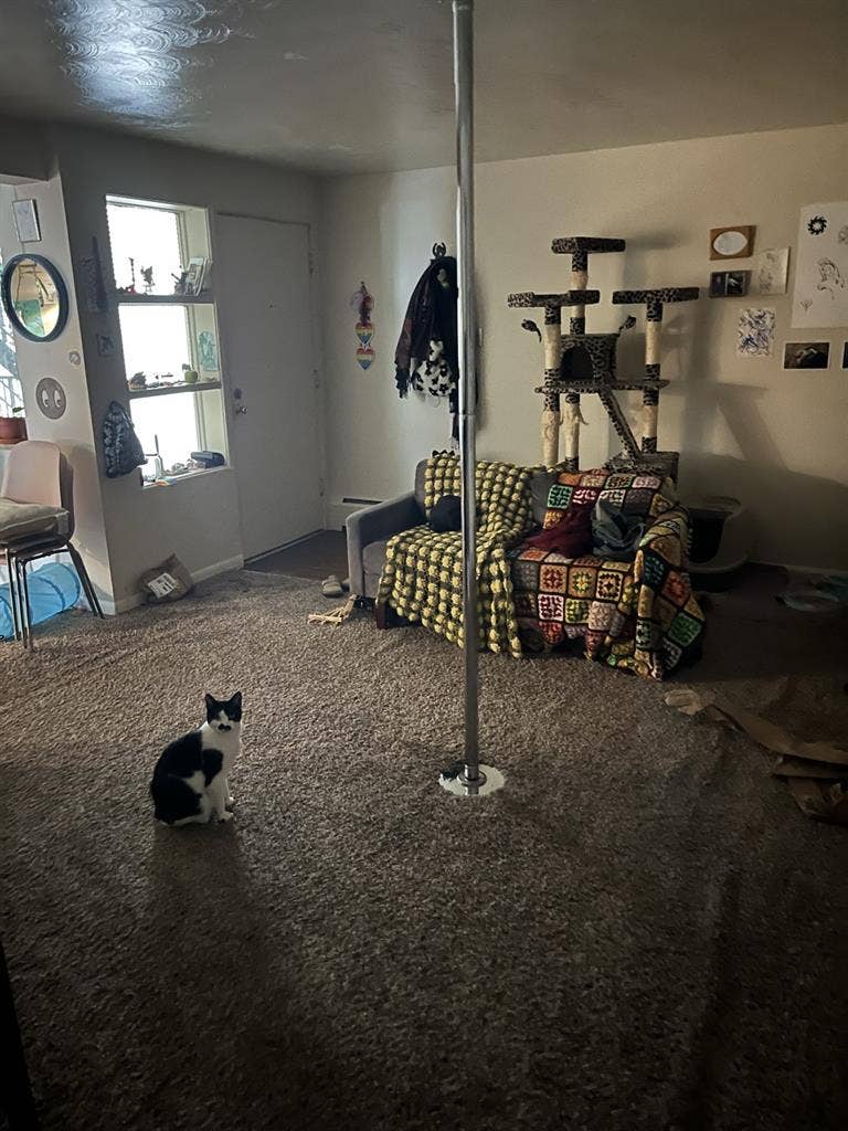 Looking for roommate October 1