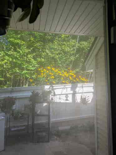 Room for rent in quiet neighborhood