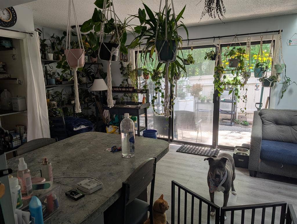 Room for rent in quiet neighborhood