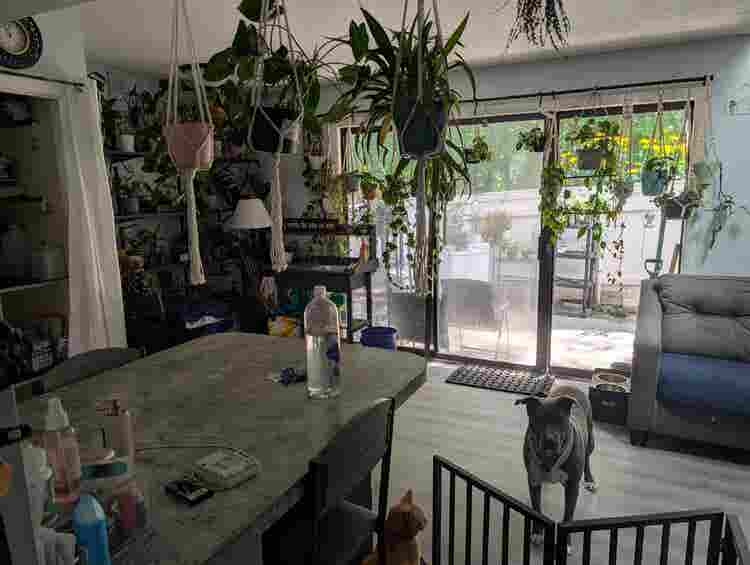 Room for rent in quiet neighborhood