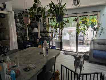 Room for rent in quiet neighborhood