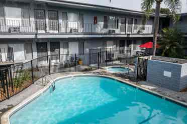 Female Roomate Needed