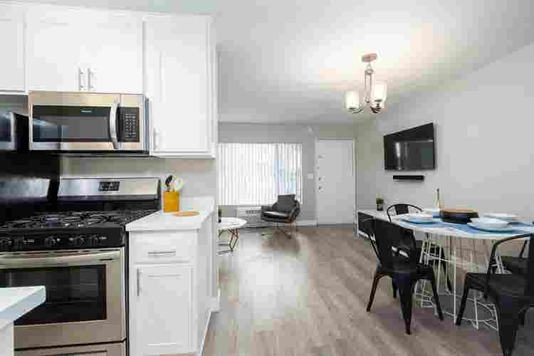Female Roomate Needed