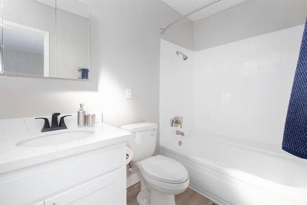 Female Roomate Needed