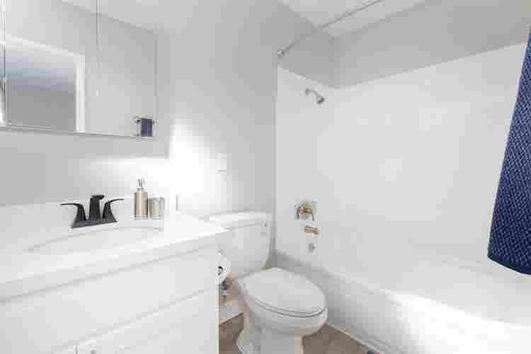 Female Roomate Needed